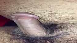 My cock erecting within few minutes
